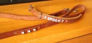 riem halsband naam bling bling schuifletters diamantjes