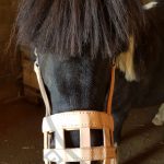 graasmaker leer pony